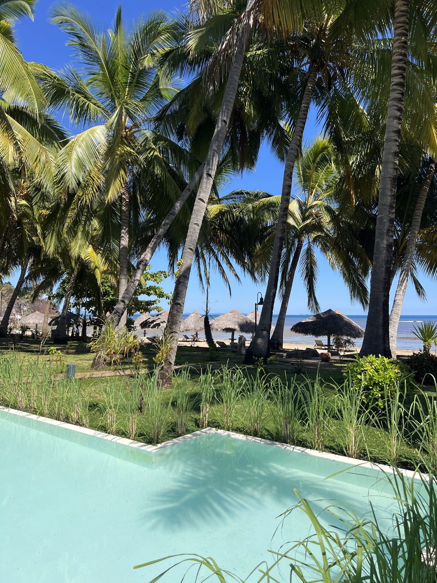 Plage de Nosy Be — Palmiers et océan Indien